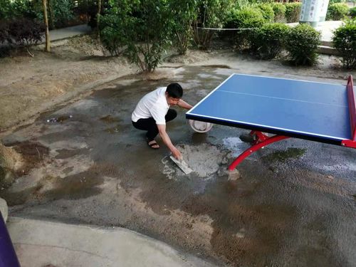 軍屯鎮(zhèn)開展黨史學習教育主題文明實踐志愿服務活動 為群眾提供教育咨詢服務