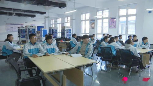 新泰市 深化職業教育創新，賦能區域經濟高質量發展